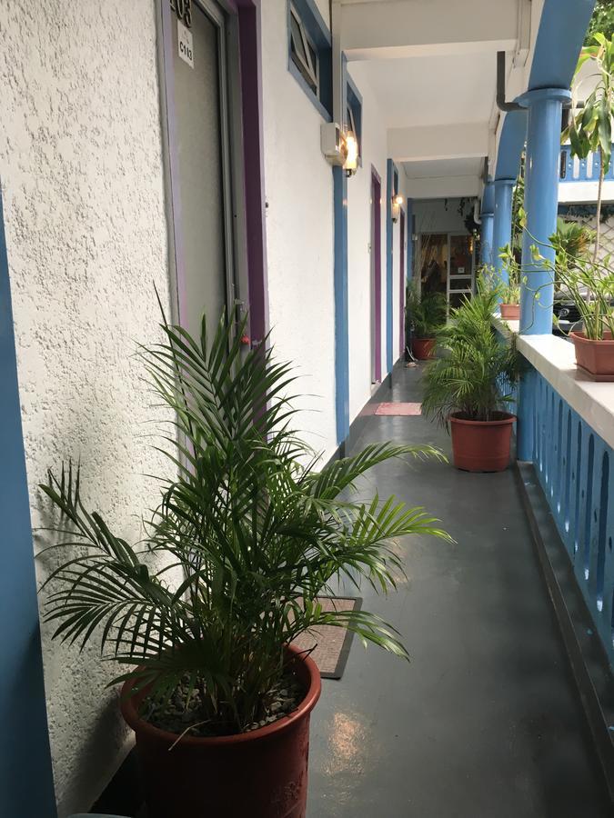 Coco 2*